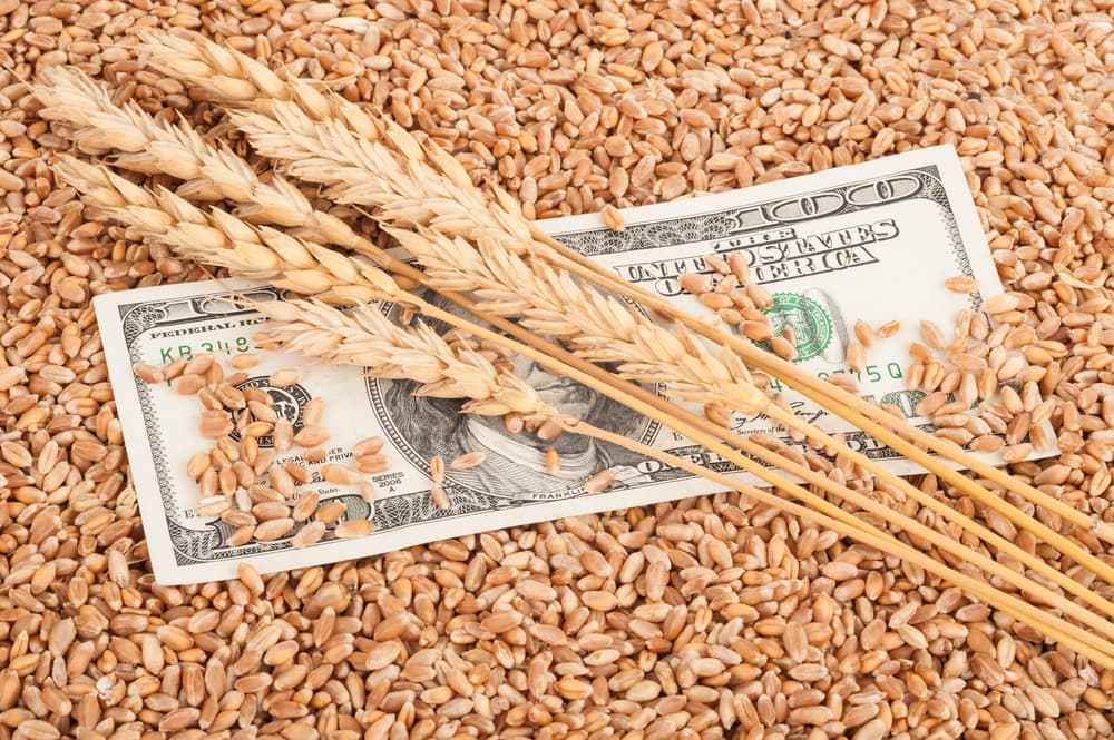 Agricultural commodities - grain and 100USD banknote